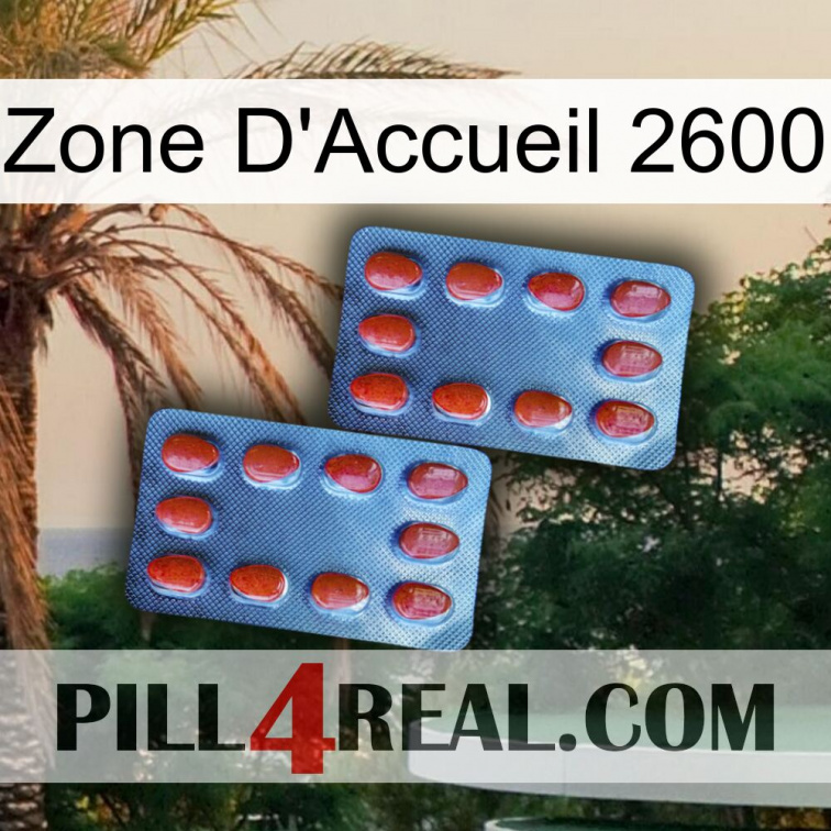 Home Zone 2600 05